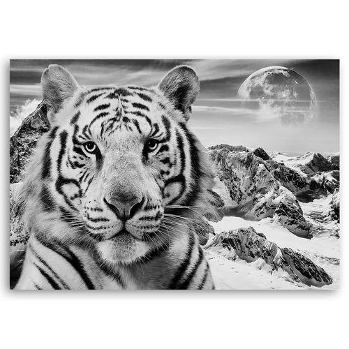 Deco Panel, Tygrys syberyjski 60x40 na Arena.pl