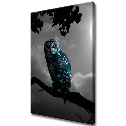 Obraz Na Płótnie 40X60 Błękitna Sowa na Arena.pl