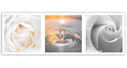 Emaga Obraz na płótnie, Płatki i kropla - 90x30 na Arena.pl
