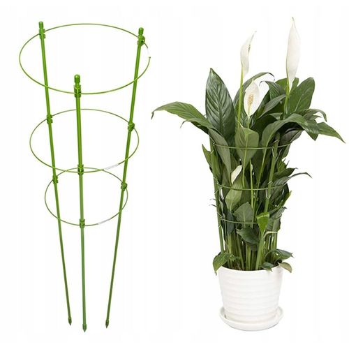 Podpórka do Kwiatów Podpora dla Roślin Doniczkowych na Kwiatka DUŻA 61cm 3x na Arena.pl