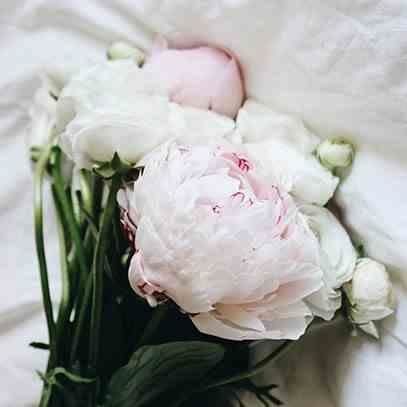 Świeca Premium 230gr. French Linen na Arena.pl