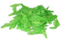 PIÓRA PIÓRKA DEKORACYJNE OZDOBNE13G 6-10CM ZIELONE