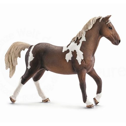 Schleich Koń Trakenhner 13756 na Arena.pl
