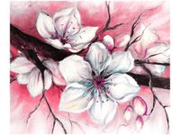 product-compare-58652956