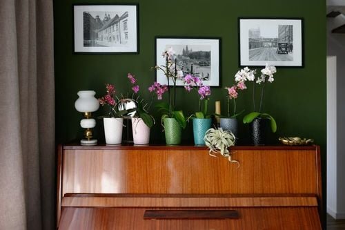 Doniczka ceramiczna osłonka biała do storczyka na Arena.pl