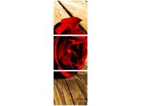 90X30CM RÓŻA SEPII TRÓJ OBRAZ DRUK