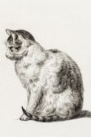 Plakat 20x30cm Siedzący Kot 3, Jean Bernard Vintage do Salonu