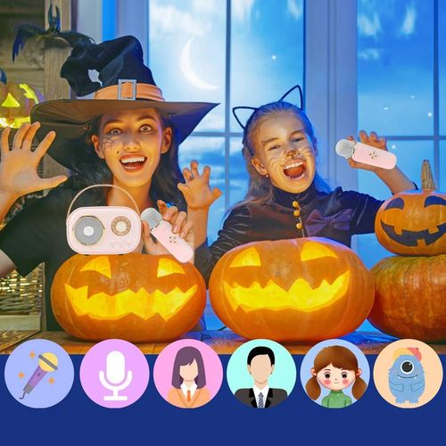 MIKROFON BEZPRZEWODOWY KARAOKE GŁOŚNIK BLUETOOTH C20 PLUS + 2 MIKROFON na Arena.pl