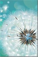 product-compare-58712466