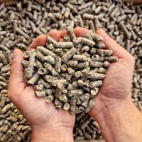 WYSŁODKI BURACZANE Niemelasowane suche 20kg dla KONIA OWIEC ALPAK