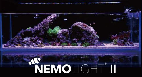 NemoLight II Power Aqua Marine 48W LED na Arena.pl