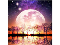 W HAFTOWANYM BLASKU OBRAZ