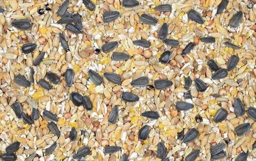 Karma dla kur Kampol Kokoszka Babuni KB 20kg na Arena.pl