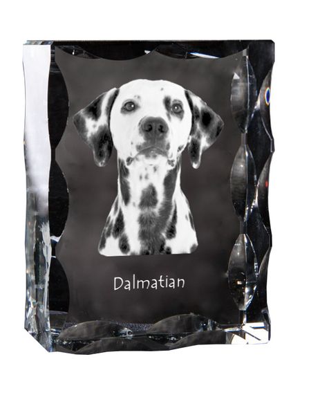 Dalmatyńczyk ramka kryształowa z psem Art-Dog zdjęcie 2