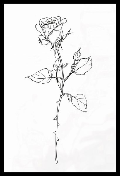 Plakat 30x45cm Kontur Róży zdjęcie 2