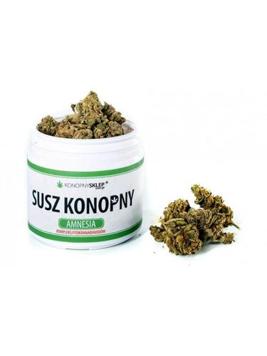 Susz konopny 5% CBD 10g Amnesia na Arena.pl
