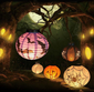 thumbnail-4