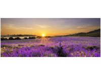 100X40CM POLE LAWENDY OBRAZ DREWNO