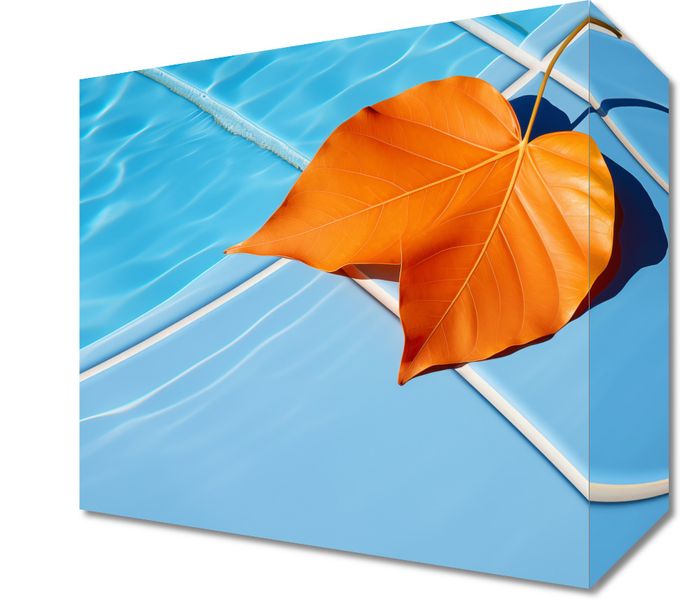 Obraz 20x20cm Liść przy Wodzie zdjęcie 1