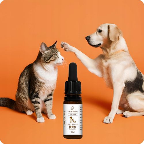 Olejek CBD dla Psa i Kota 5% 500 mg | Weterynaryjny | Bez THC | Bezsmakowy na Arena.pl