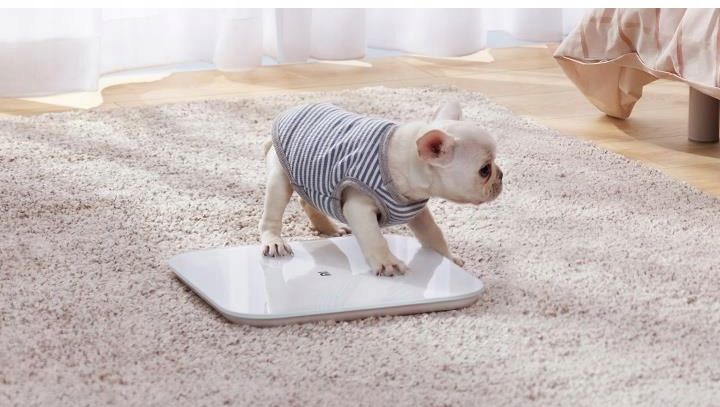 WAGA ŁAZIENKOWA XIAOMI MI SMART SCALE 2 BLUETOOTH zdjęcie 5