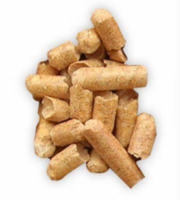PROMOCJA Pellet na Arena.pl