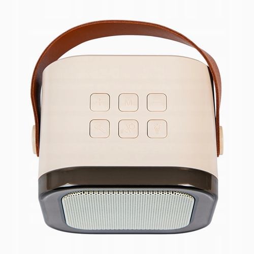 GŁOŚNIK BLUETOOTH KARAOKE RGB + MIKROFON USB SD LED 10W ZESTAW DLA DZIECI na Arena.pl