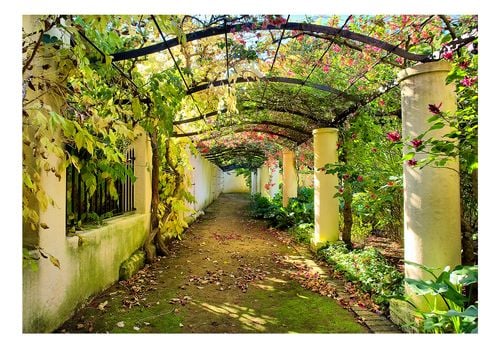 Fototapeta - Pergola 150x105 na Arena.pl