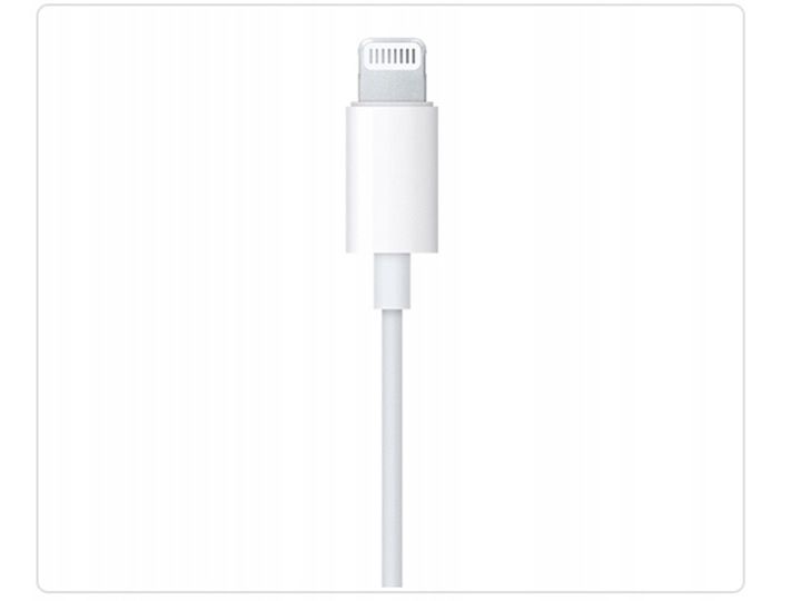 ORYGINALNE SŁUCHAWKI APPLE EARPODS LIGHTNING MMTN2ZM/A IPHONE XS 12 13 14 zdjęcie 4