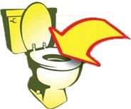 Green Cat Naturalny żwirek zbrylający 24L Biodegra na Arena.pl