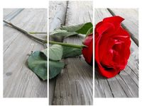 product-compare-58672384