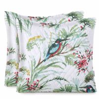 product-compare-54096380