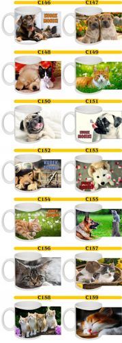 fotoKUBEK koty psy prezent gwiazdkowy dla synka na Arena.pl