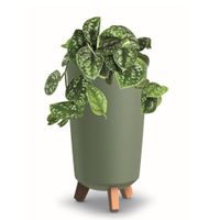 Donica wysoka tuba okrągła 19,5 cm zielony mat