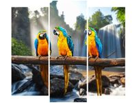 product-compare-58708395