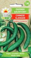 Ogórek gruntowy Chinese Slangen sałatkowy 5g
