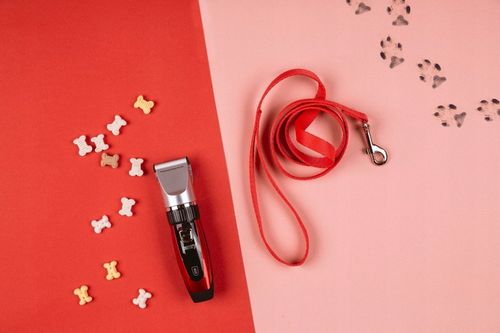 MASZYNKA DO STRZYŻENIA PSÓW PSA KOTA CAMRY CR 2821 na Arena.pl