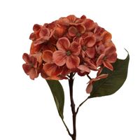 product-compare-61190738