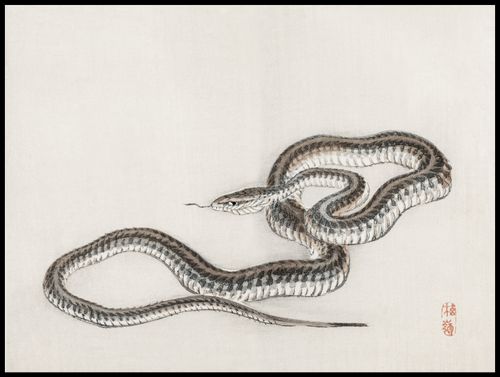Plakat 100x75cm Snake, Kōno Bairei na Arena.pl