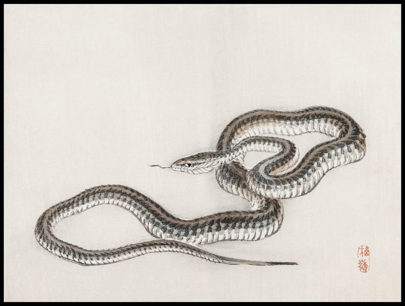 Plakat 100x75cm Snake, Kōno Bairei zdjęcie 2