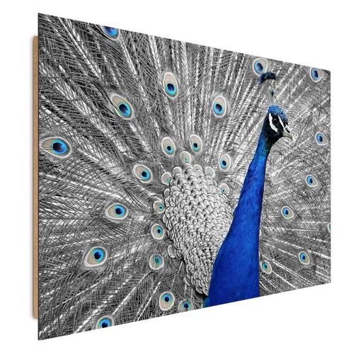 Deco Panel, Dumny paw 50x40 na Arena.pl