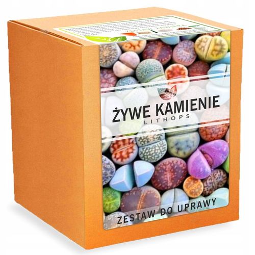 Zestaw do uprawy roślin Żywe Kamienie LITHOPS nasiona sukulenty Kolory na Arena.pl