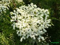 product-compare-58256372