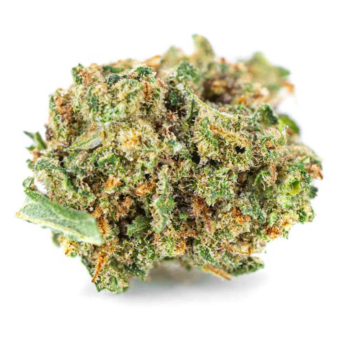 Susz konopny CBD | Lemon Haze | HOLENDER | 1g na Arena.pl