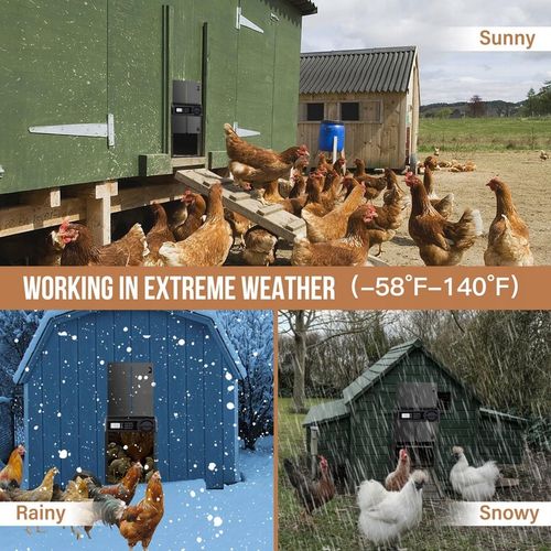 Automatyczne Drzwi Do Kurnika Z Timerem Blokada Przytrzaśnięcia Wodoodporne na Arena.pl