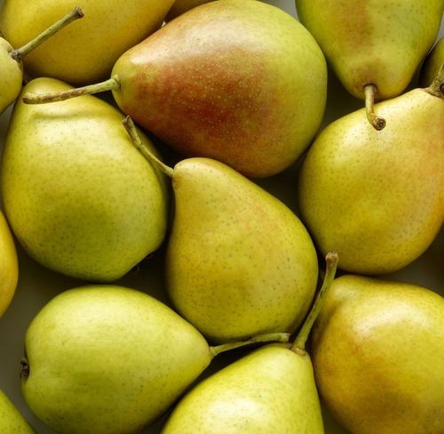 Grusza KLAPSA dobrze nam znana PYSZNA FAWORYTKA na Arena.pl