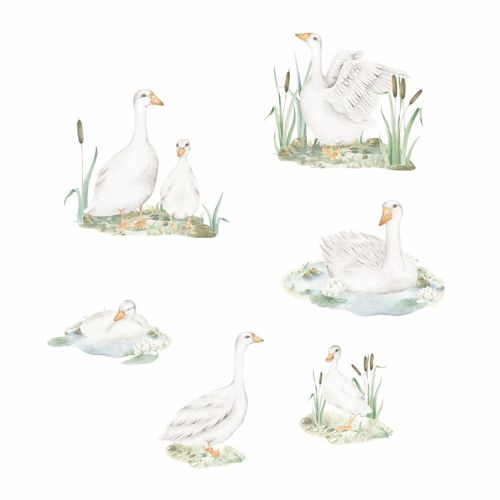 Naklejki Zestaw Gąski DK451 XL na Arena.pl