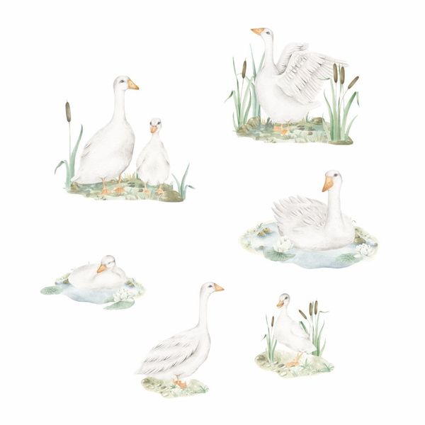 Naklejki Zestaw Gąski DK451 XL zdjęcie 4