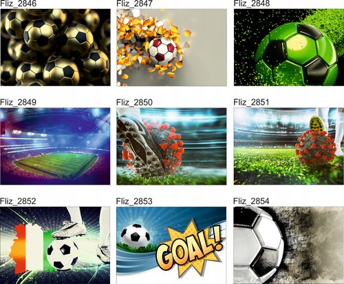 FOTOTAPETY piłkarskie sportowe PIŁKA NOŻNA 200x130 na Arena.pl