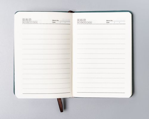 notes ptn not-6-ln-54-9133 green na Arena.pl